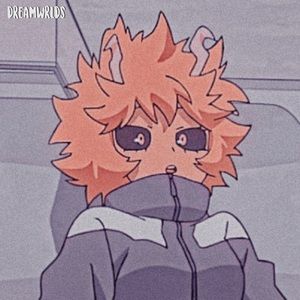 Meet your Posher, Akira